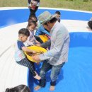 시립청림어린이집 Daum카페