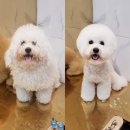 스포팅