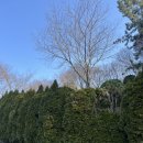 영락공원(주차장) | 26.2.13. 금~14 토) 두근두근 그날과함께 설연휴 시작! (로보락 당일as후기)