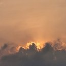 1공단로-8 이미지