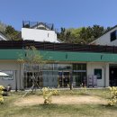 카페테라스펜션 | 인천 영종도 그리너리바스켓 | 반려동반 가능 펜션 카페 대형카페 테라스 카페 후기
