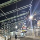 미겔리또 이미지