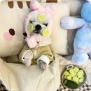 부산애견호텔 애견유치원 맘바이 부산북구점 이미지