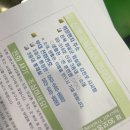 내가 곰신이라니