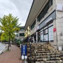 보문3 | 경주 보문단지 맛집 전국3대김밥 교리김밥보문점 포장 방문후기