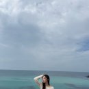 데굴데굴 이미지