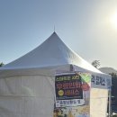 거제시농업개발원 | 2025 가을축제 거제섬꽃축제 기간 주차 실시간 후기(feat. 은가은)