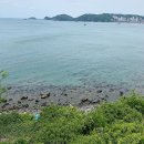 상송하우스 | [일상블로그]부산 흰여울문화마을, 구미 상송식당 조진 후기