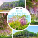 신정호국민관광지 대여소 이미지