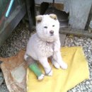 새싹, 화합 이미지