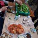 일월산장 이미지