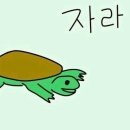 자라 이미지