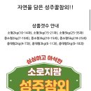지팜 | 성주꿀참외 3kg 소과 산지직송 소로지팜 소과 구매 후기