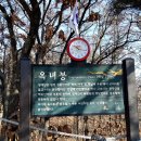 옥녀봉농장 이미지