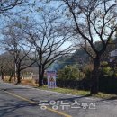 갈전천 이미지