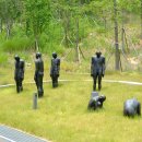 인쇄광고디자인 청춘