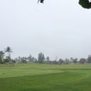 프린스빌 이미지