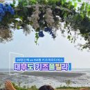 펀지키즈풀빌라3 이미지