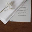 결혼정보회사 메이 이미지