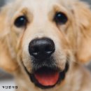 가인한의원 네이버블로그
