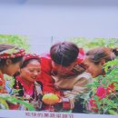 지난15 - 대명호 호수를 구경하고는 돌아와서 TV 를! 이미지