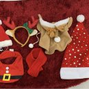 씽씽 동물의료센터 이미지