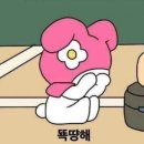 토박이호프곰탕 | 봄날