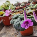 밀레니움 이미지