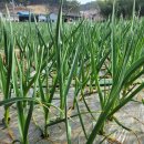 귀동농장 이미지