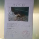 강서방가맥 | 보고 싶은데 볼 수는 없고