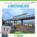 유네스코 세계자연유산 고창 갯벌을 감상하고 체험하는 만돌 갯벌체험마을 서해안 바람공원