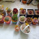 살구미농장 이미지