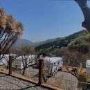 포레스트벨리캠프 이미지