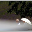 푸른농장2 이미지