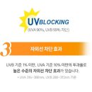 으뜸50안경 역곡점 이미지