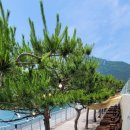 마소마레 이미지