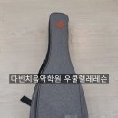(초보자를 위한) 우쿨렐레 이미지