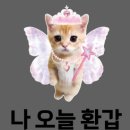 (주)왕왕 | 가족사진용 티셔츠주문제작 ‘티싸요’ 왕왕추천후기