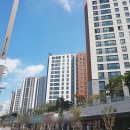 파크자이 이미지