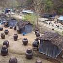 송영농장 이미지