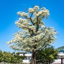 화순읍사무소 이미지