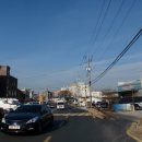 덕진-124 이미지