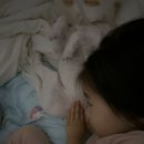 아이미래로파주지사 이미지