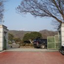 광주김씨열녀정려 이미지