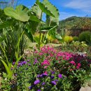 프로그타운 이미지