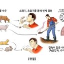 장교축산 이미지