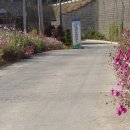 대원보건진료소 이미지