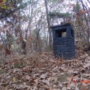 오산1리 이미지