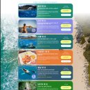 유크리에이션 이미지