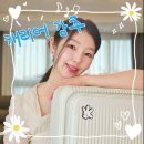 브라이튼 | 브라이튼 루미 캐리어 20인치 비교 후기 전면오픈 기내용 추천